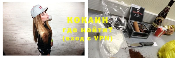 гашик Нефтекумск