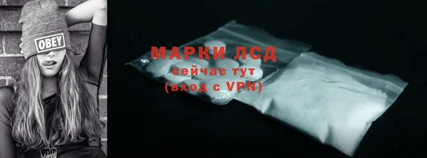 прущие грибы Михайловск