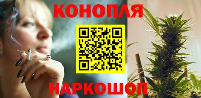 прущие крисы Заводоуковск