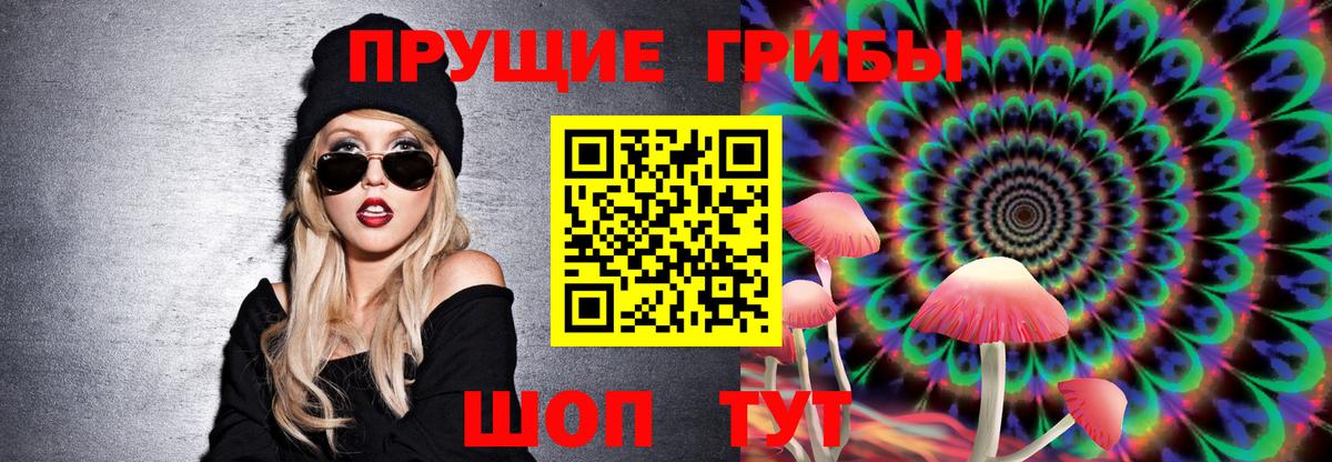 Галлюциногенные грибы Cubensis Касимов