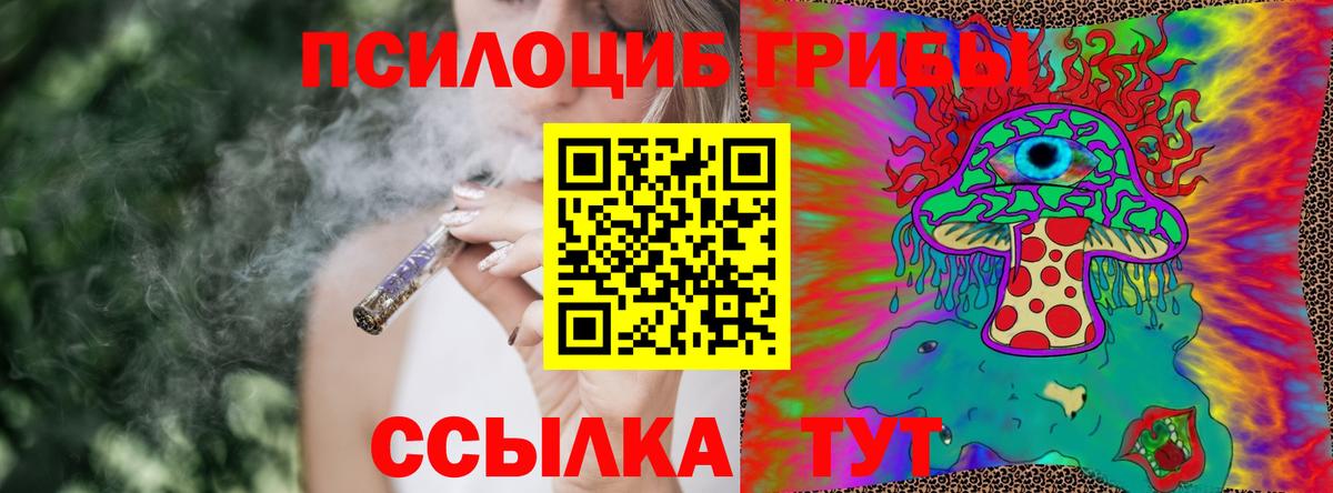 Касимов  Галлюциногенные грибы Psilocybe  Вход с VPN 